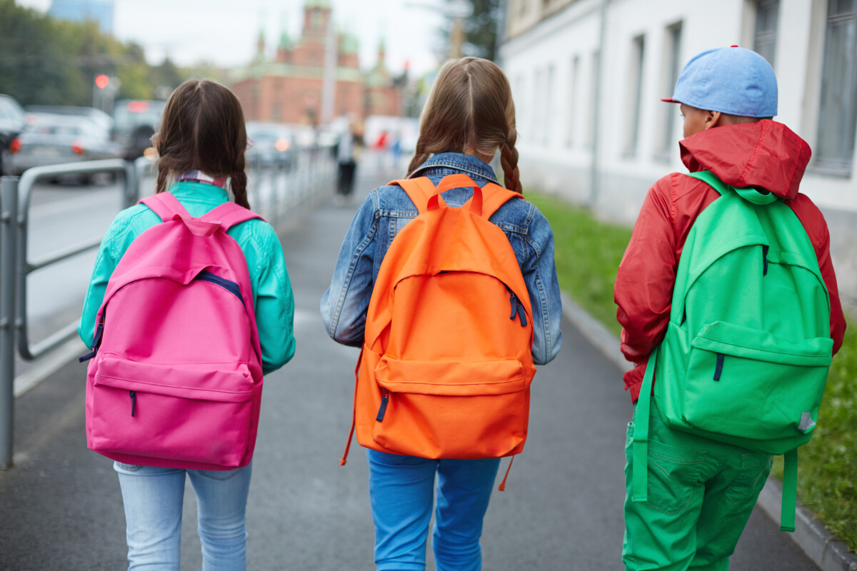 fcity.in - School Bag Backpack Children Bag School Backpack School Bag For